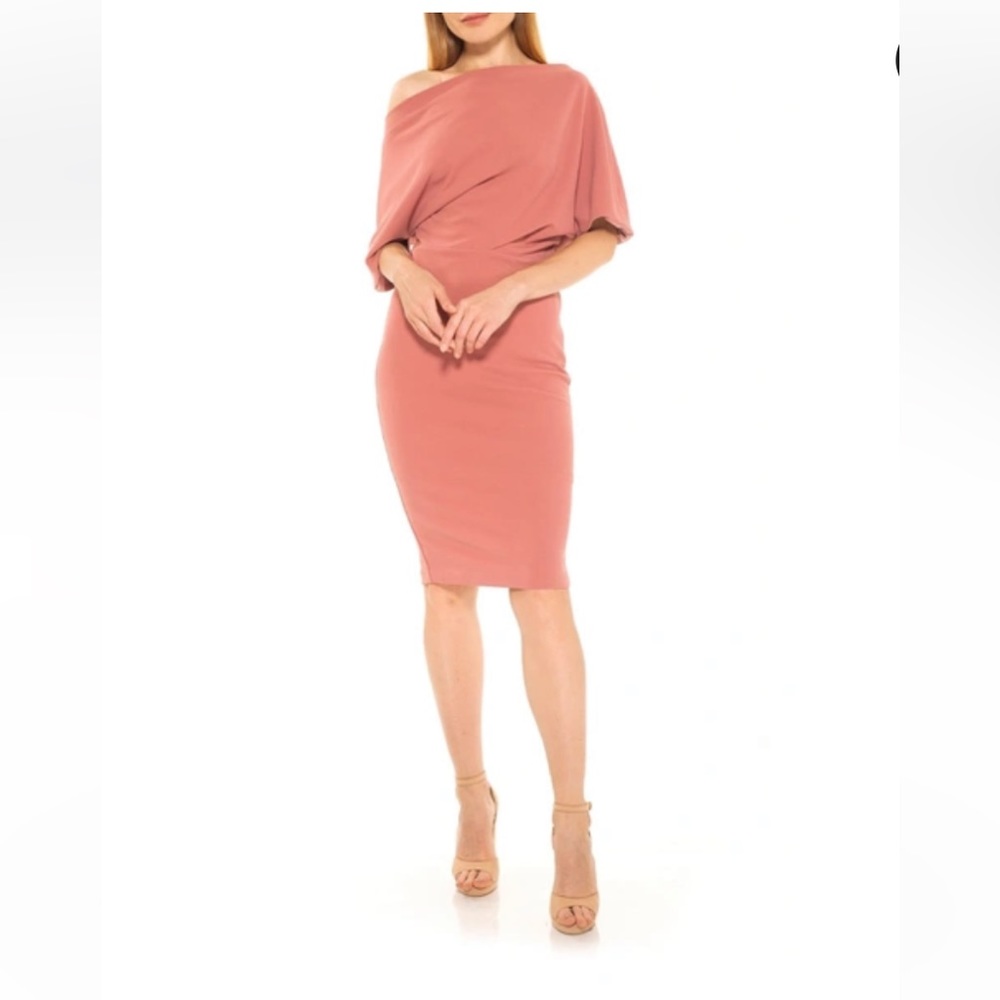 Brand New with tags Sexy Alexia Admor romantic dress